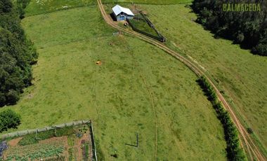 Agrícola en Venta en Sector Riachuelo, a pocos kilometros de Rio Negro