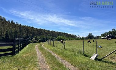 Agrícola en Venta en Sector Riachuelo, a pocos kilometros de Rio Negro