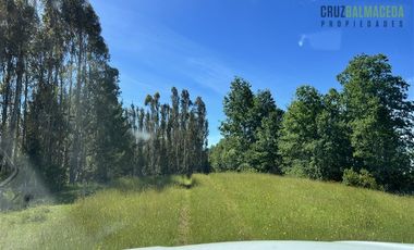 Agrícola en Venta en Sector Riachuelo, a pocos kilometros de Rio Negro