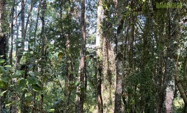 Agrícola en Venta en Sector Riachuelo, a pocos kilometros de Rio Negro
