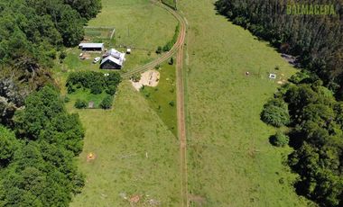 Agrícola en Venta en Sector Riachuelo, a pocos kilometros de Rio Negro