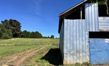 Agrícola en Venta en Sector Riachuelo, a pocos kilometros de Rio Negro