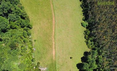Agrícola en Venta en Sector Riachuelo, a pocos kilometros de Rio Negro
