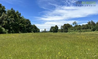 Agrícola en Venta en 68 hás a solo 15 minutos del Lago Rupanco