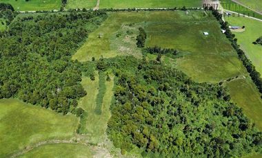 Agrícola en Venta en 68 hás a solo 15 minutos del Lago Rupanco