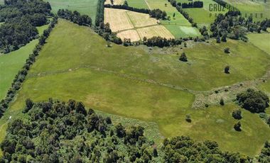 Agrícola en Venta en 68 hás a solo 15 minutos del Lago Rupanco