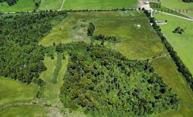 Agrícola en Venta en 68 hás a solo 15 minutos del Lago Rupanco