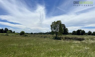 Agrícola en Venta en 68 hás a solo 15 minutos del Lago Rupanco