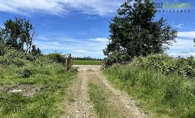 Agrícola en Venta en 68 hás a solo 15 minutos del Lago Rupanco