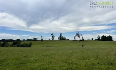 Agrícola en Venta en A 7 km de Entrelagos y a 1km de la ruta internacional 215