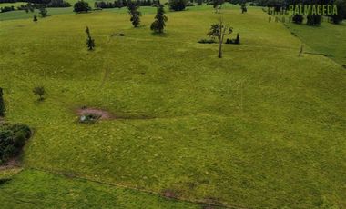 Agrícola en Venta en A 7 km de Entrelagos y a 1km de la ruta internacional 215