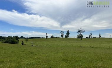 Agrícola en Venta en A 7 km de Entrelagos y a 1km de la ruta internacional 215