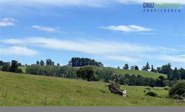 Agrícola en Venta en A 7 km de Entrelagos y a 1km de la ruta internacional 215