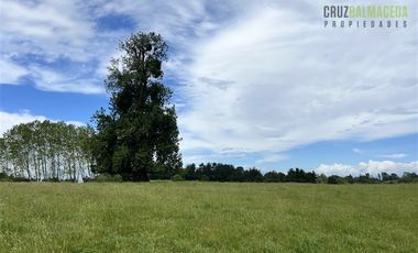 Agrícola en Venta en A 7 km de Entrelagos y a 1km de la ruta internacional 215