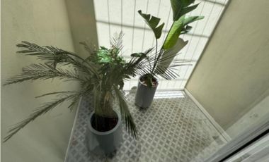 Casa en venta - 3 Dormitorios 2 Baños - Mar del Plata