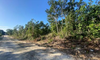 TERRENO ESCRITURADO COLONIA MEXICO