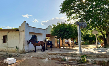 HACIENDA EN VENTA MERIDA, KANASIN, HDA HOLISTICA SAN ANTONIO TEHUITZ, LISTA.