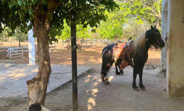 HACIENDA EN VENTA MERIDA, KANASIN, HDA HOLISTICA SAN ANTONIO TEHUITZ, LISTA.