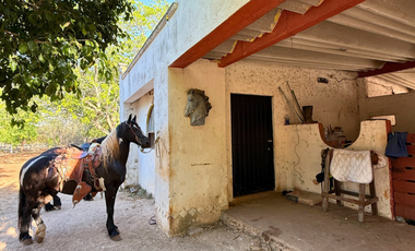 HACIENDA EN VENTA MERIDA, KANASIN, HDA HOLISTICA SAN ANTONIO TEHUITZ, LISTA.