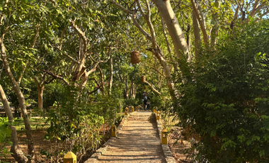HACIENDA EN VENTA MERIDA, KANASIN, HDA HOLISTICA SAN ANTONIO TEHUITZ, LISTA.