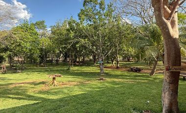 HACIENDA EN VENTA MERIDA, KANASIN, HDA HOLISTICA SAN ANTONIO TEHUITZ, LISTA.