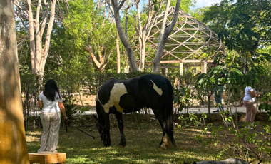 HACIENDA EN VENTA MERIDA, KANASIN, HDA HOLISTICA SAN ANTONIO TEHUITZ, LISTA.