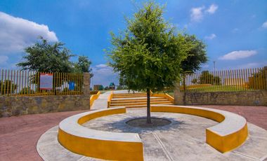 Bello Amanecer Casa en Renta Semi Amueblada en Guadalupe MZC