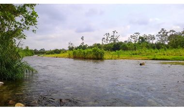 CACAOTERA NARANJAL 9 hectáreas