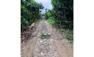 CACAOTERA NARANJAL 9 hectáreas