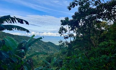 Venta Casa Campestre Dapa, Via la Olga