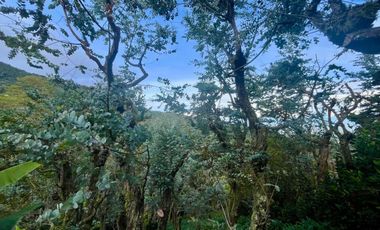 Venta Casa Campestre Dapa, Via la Olga