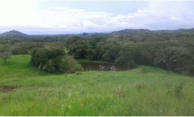 FINCA CON NEGOCIO RENTABLE 111 HECTARIAS CERCA DE SANTIAGO