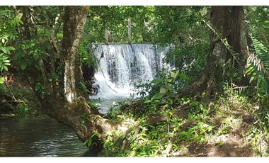 FINCA CON NEGOCIO RENTABLE 111 HECTARIAS CERCA DE SANTIAGO