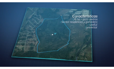 FINCA DE 77 HECTAREAS EN PANAMA OESTE, LA MESA