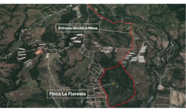 FINCA DE 77 HECTAREAS EN PANAMA OESTE, LA MESA