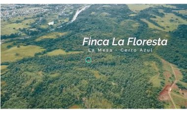FINCA DE 77 HECTAREAS EN PANAMA OESTE, LA MESA