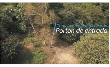 FINCA DE 77 HECTAREAS EN PANAMA OESTE, LA MESA