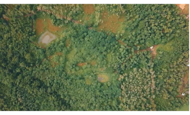 FINCA DE 77 HECTAREAS EN PANAMA OESTE, LA MESA