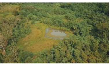 FINCA DE 77 HECTAREAS EN PANAMA OESTE, LA MESA