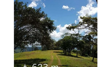 TERRERNO Y LOTES CERRO AZUL - EL LAGO  5 EL M2