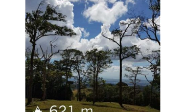 TERRERNO Y LOTES CERRO AZUL - EL LAGO  5 EL M2