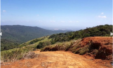 TERRERNO Y LOTES CERRO AZUL - EL LAGO  5 EL M2