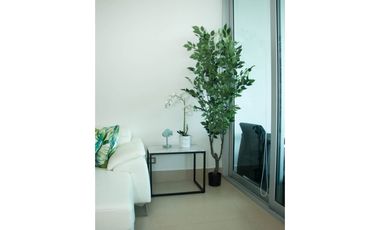 APARTAMENTO AMOBLADO 2 RECAMARAS  PH BAHIA GORGONA