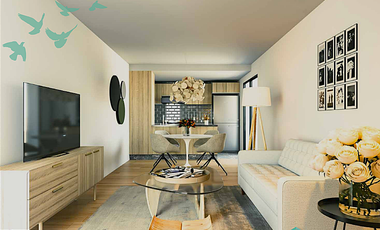 Departamento Col. San Rafael