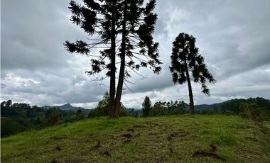 Venta De Lote En El Retiro Via Don Diego La Ceja