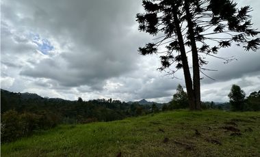 Venta De Lote En El Retiro Via Don Diego La Ceja