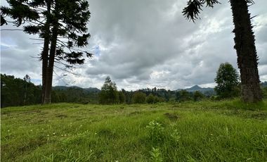 Venta De Lote En El Retiro Via Don Diego La Ceja