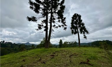 Venta De Lote En El Retiro Via Don Diego La Ceja