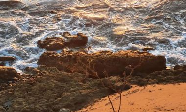 Parcelas en Venta frente al Mar – Baja California Sur
