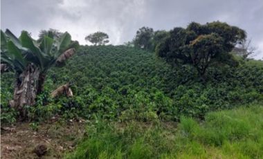 Casa en venta Vergara